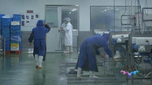 揚州市市場監(jiān)督管理局 以“硬核監(jiān)管”與“周到服務(wù)”雙輪驅(qū)動，筑牢餐飲安全防線